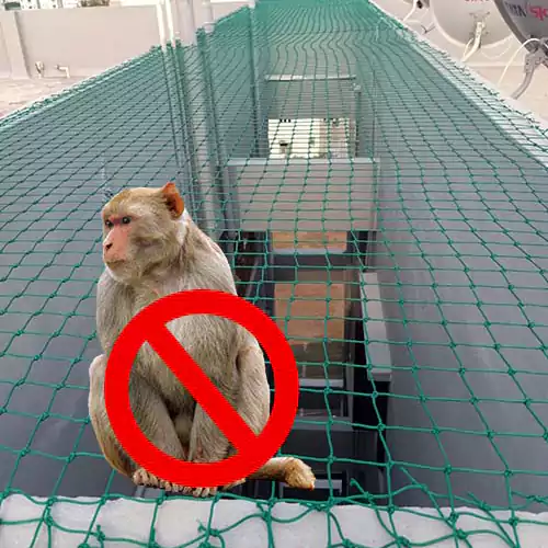 Monkey Safety Nets