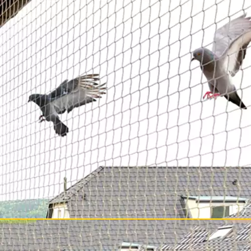 Pigeon Safety Nets